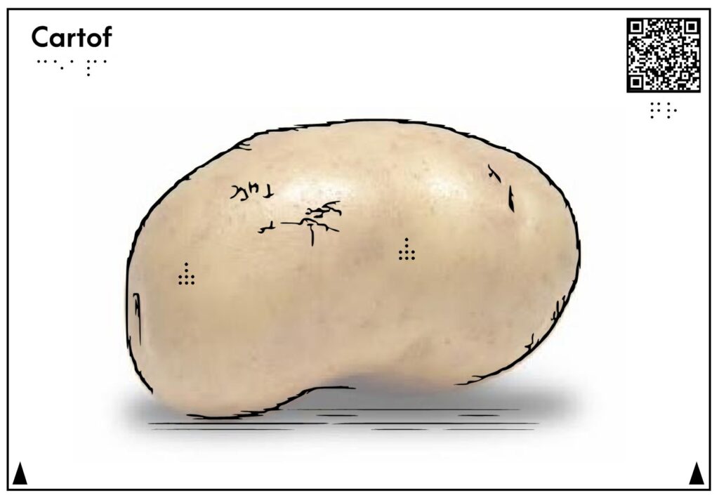Planșă tactilă care reprezintă și descrie cartoful
