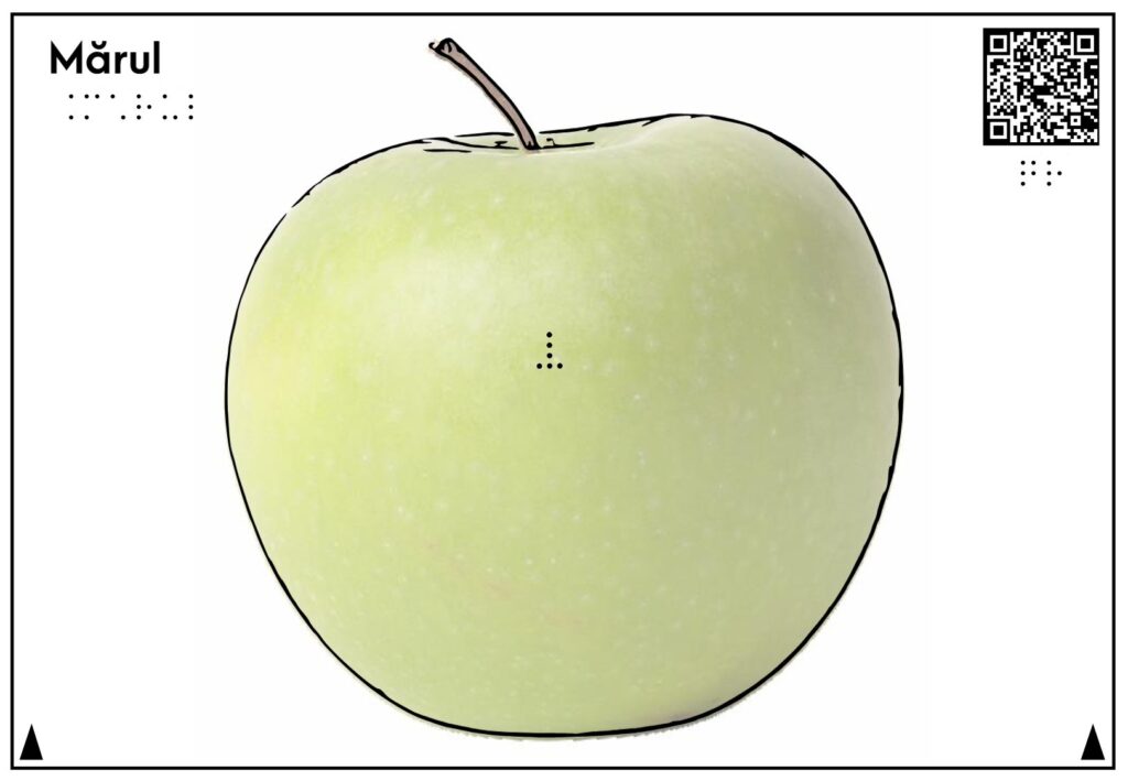 Planșă tactilă care reprezintă și descrie mărul